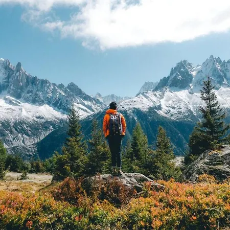 Belle Paradis - Mont Blanc Getaway Mont Blanc Views