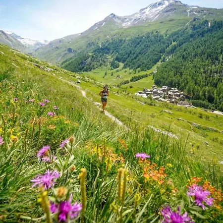 Belle Paradis - Mont Blanc Getaway Mont Blanc Views 샤모니